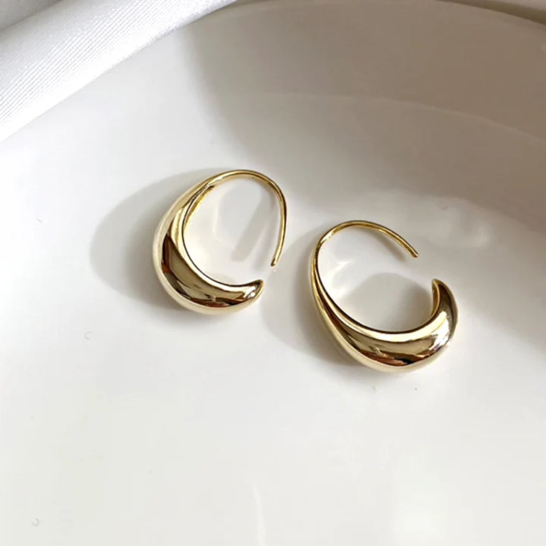 Aretes de Lujo en Oro y Plata